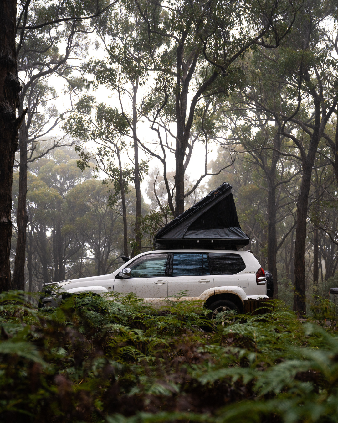James Baroud Hartschalen-Dachzelt  montiert auf einem Offroad-Fahrzeug im Wald.